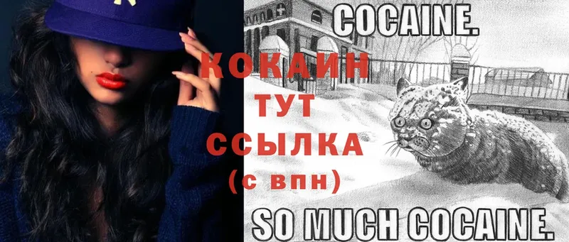 COCAIN Перу Юрьев-Польский