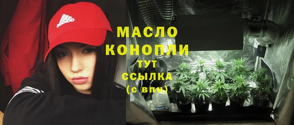 2c-b Пестово