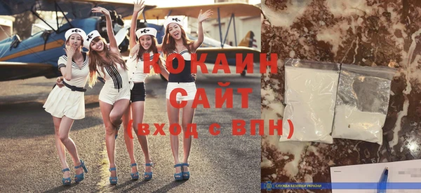 2c-b Пестово